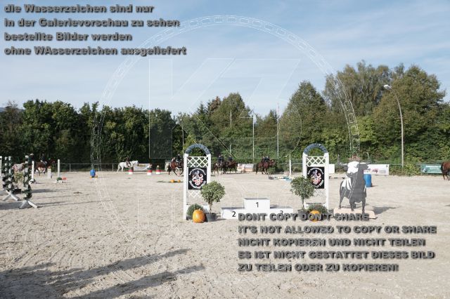 a_DSC06389.JPG